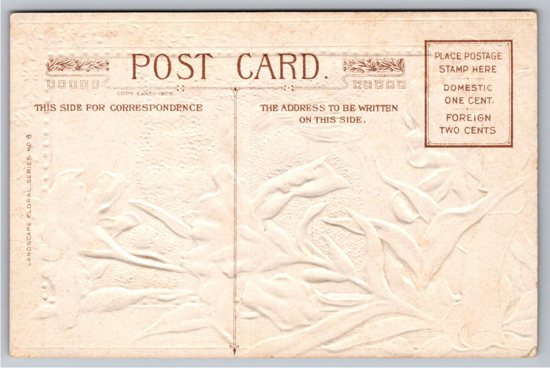 Antique 1909 E. Nash Embossed Iris Waterfall Birthday Postcard - Back / Reverse View