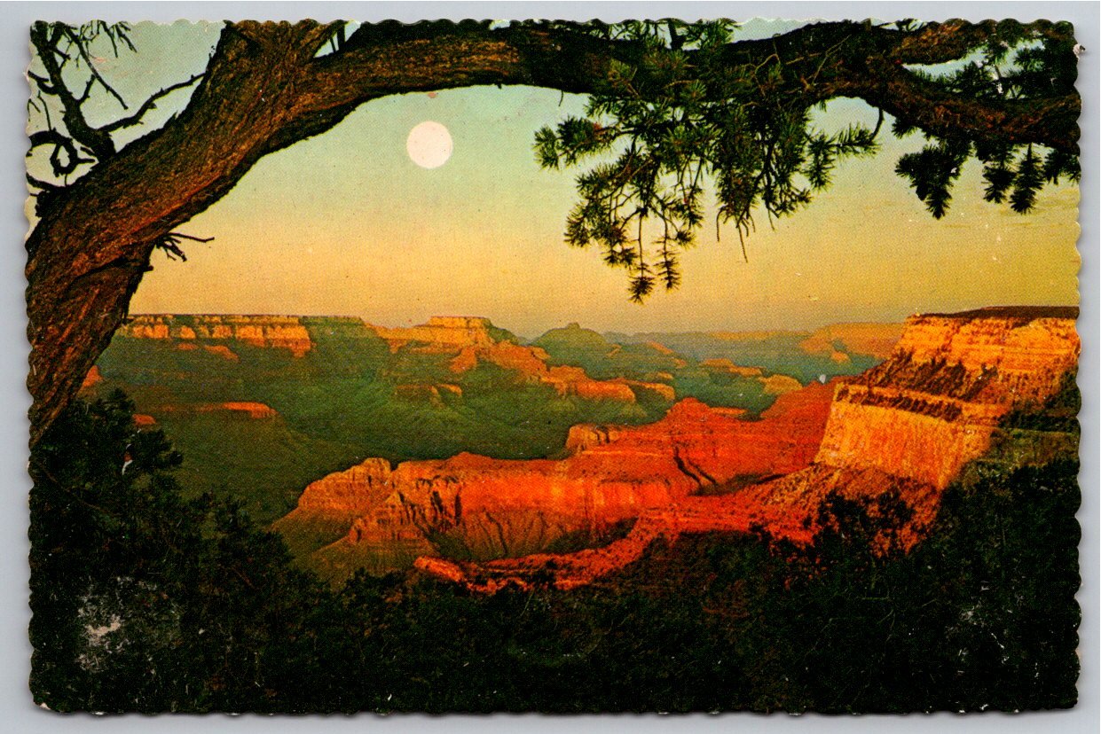 Vintage Grand Canyon National Park Sunset Postcard Petley