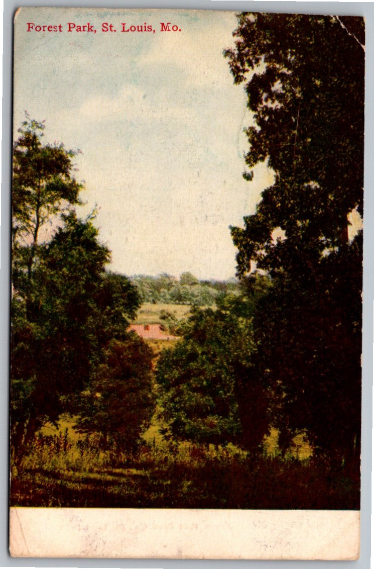 1908 St. Louis Missouri Forest Park Landscape Vintage Postcard