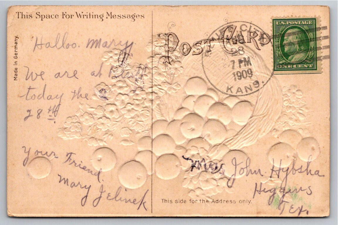 1909 Embossed German Floral Postcard: Fruit Basket & Violets - Back / Reverse View