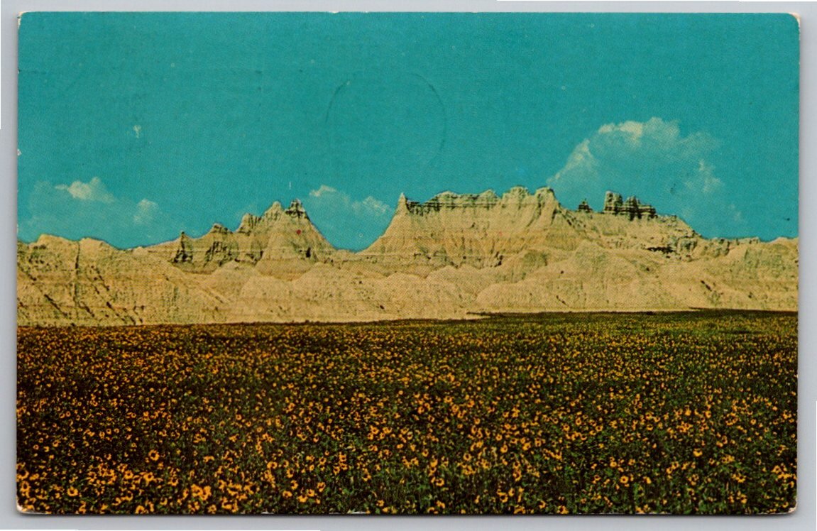 Vintage 1964 Badlands National Monument & Sunflower Postcard