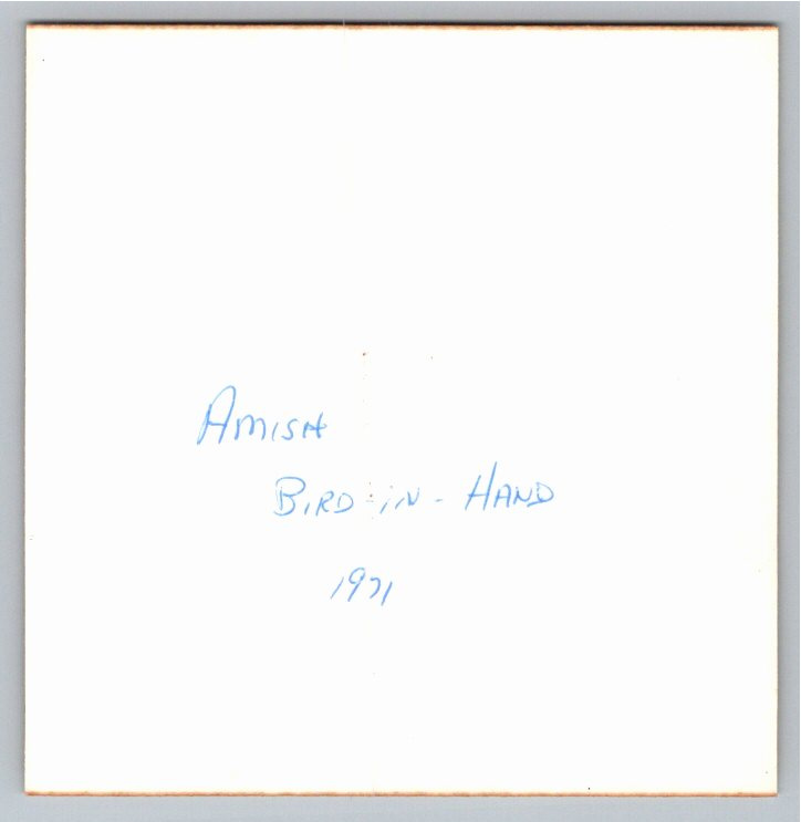 1971 Amish Horse Buggy Photos Bird-in-Hand Pennsylvania Snapshots - Angle / View 3