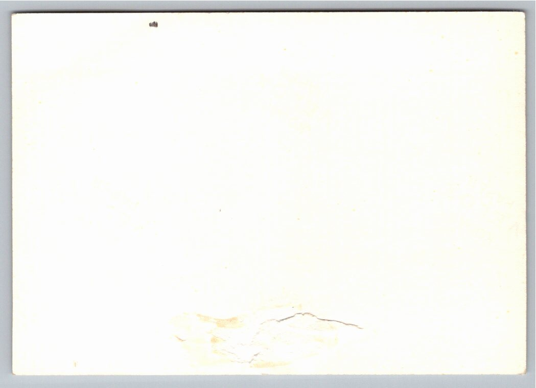 Vintage 1960 Wooden Cabin Cruiser Boat Photo: Mid-Century Marina - Back / Reverse View