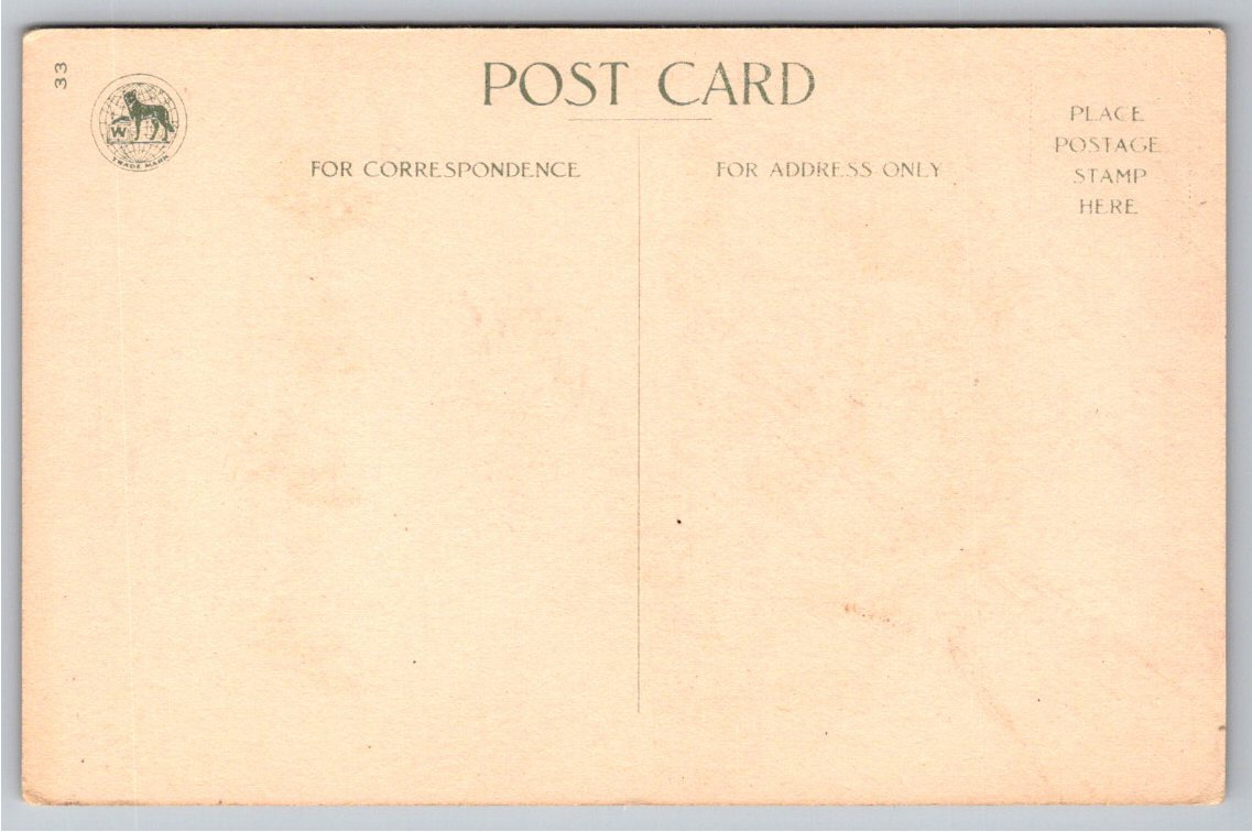 Antique 1910s Wolf & Co. Thanksgiving Postcard: Cornucopia & - Angle / View 3