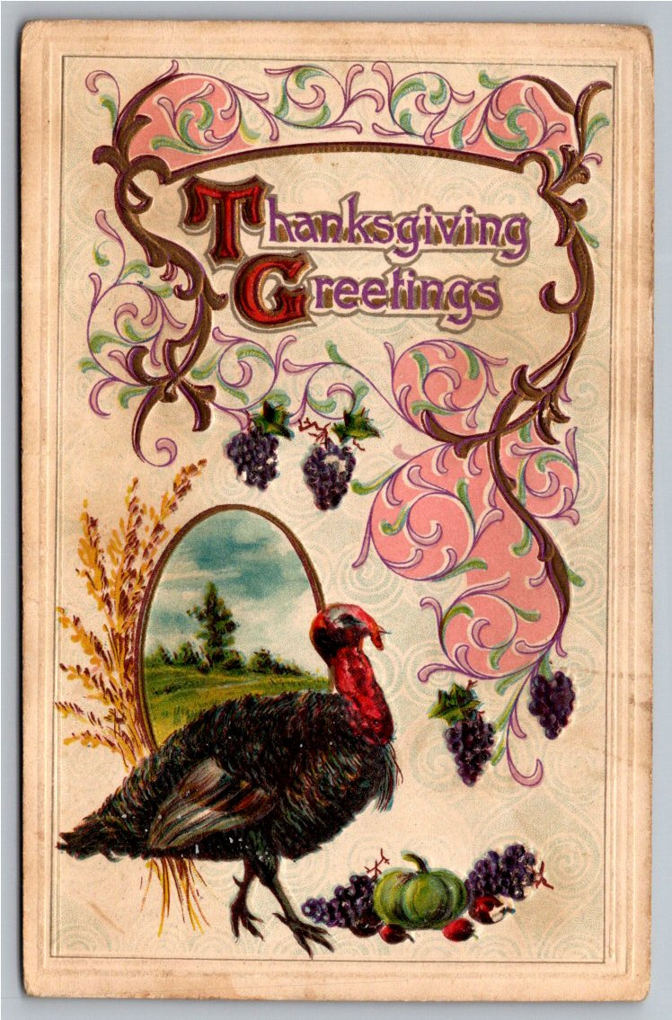 Antique 1911 Embossed Thanksgiving Postcard: Turkey & Grapes