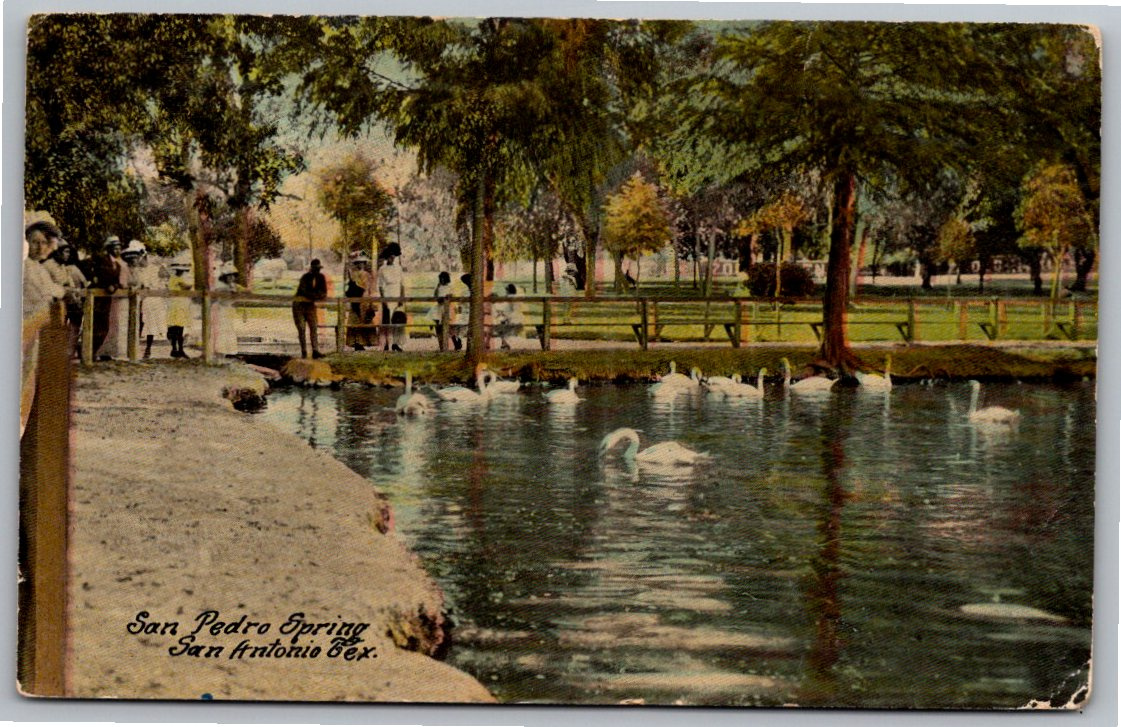 Vintage 1916 San Pedro Springs Park Postcard San Antonio Texas