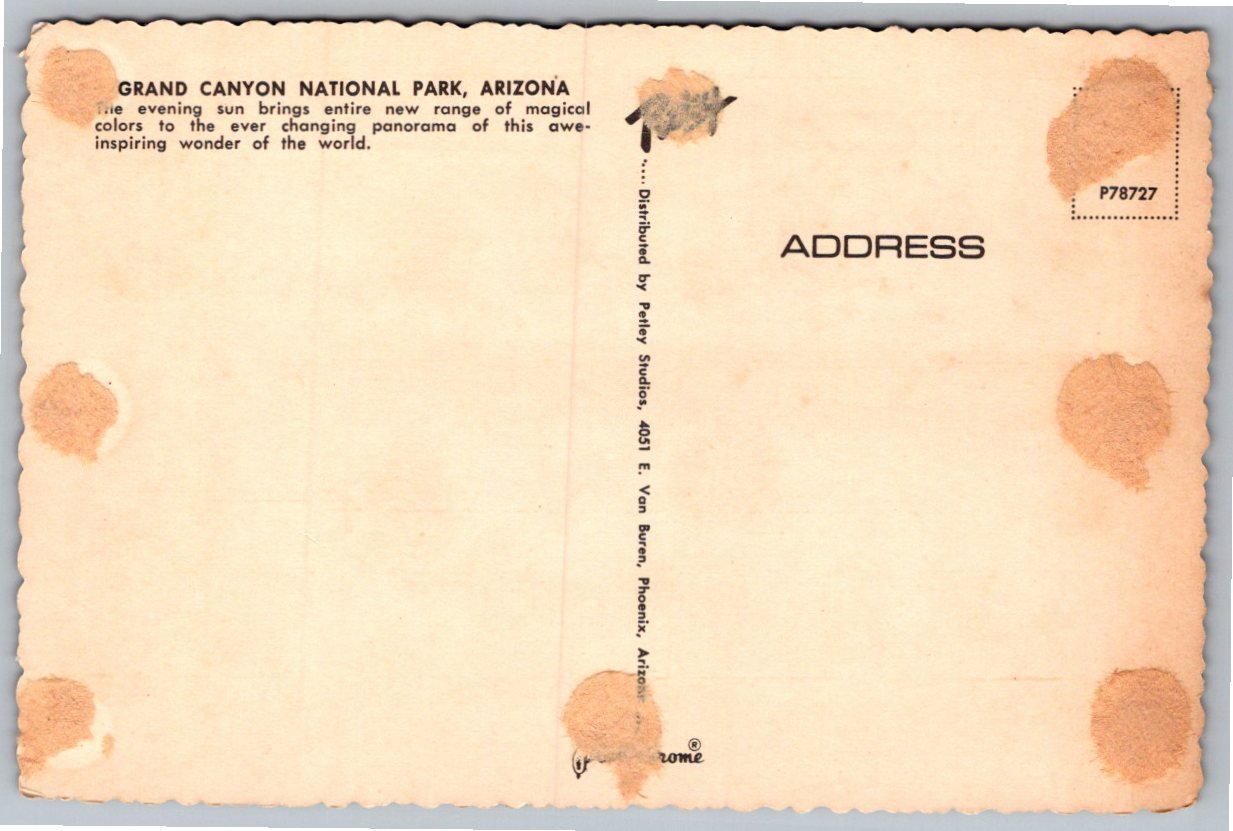 Vintage Grand Canyon National Park Sunset Postcard Petley - Back / Reverse View