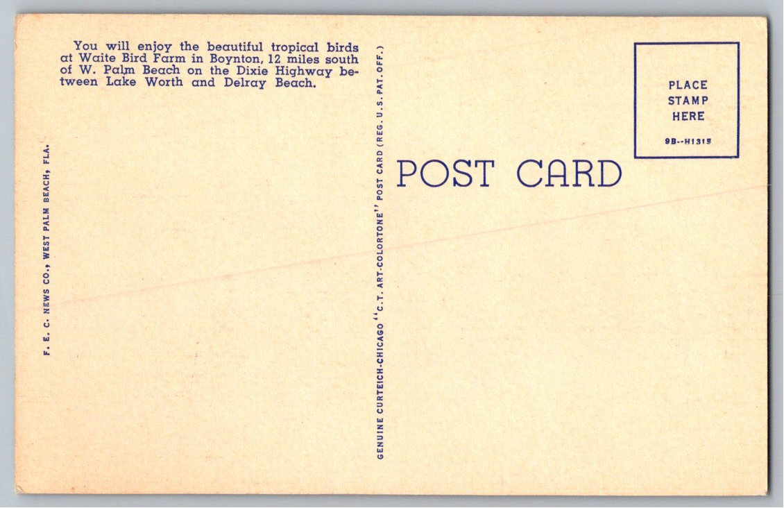 1940s Scarlet Macaw Vintage Postcard: Waite Bird Farm Florida - Back / Reverse View